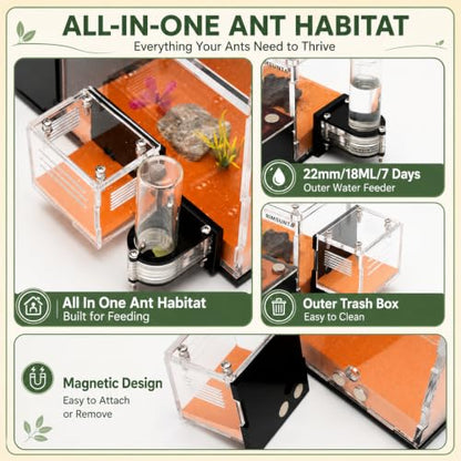 Terra Core Series Hybrid Formicarium Ant Nest, Vertical & Flat Chamber Design with Hydration System, Expandable Habitat & Starter Kit