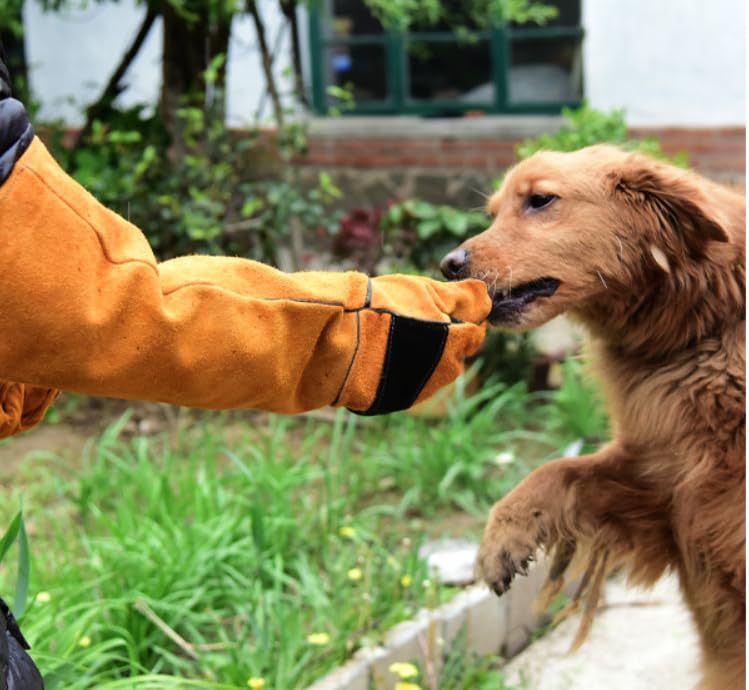 ISMARTEN Bird Animals Anti-Scratch Protective Gloves, Dogs Cats Parrot Training Working Glove - color: Yellow