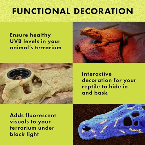 Zilla Rapid Sense UV Detecting Pet Reptile Terrarium Décor, Detects UVB Levels, Crocodile Skull, Medium - size: Medium