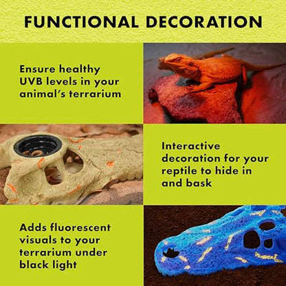 Zilla Rapid Sense UV Detecting Pet Reptile Terrarium Décor, Detects UVB Levels, Crocodile Skull, Medium - size: Medium