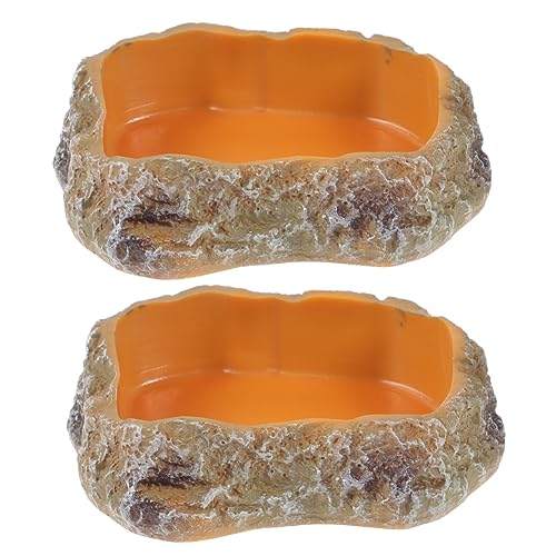 BESTOYARD 2pcs pet Feeding Bowl Glass containers Reptile Glass Decor Tortoise Food Dish Lizard Food Tray Terrarium Water Dish Pet Supply Resin Rock Worm Feeder Dish Terrarium Water Bowl