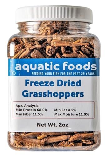 Grasshoppers- Freeze Dried Grasshoppers, Great for Reptiles, Turtles, Tortoises, Hamsters, Rodents, Birds, Large Tropical Fish - 5oz JAR - size: 5 Ounce (Pack of 1)