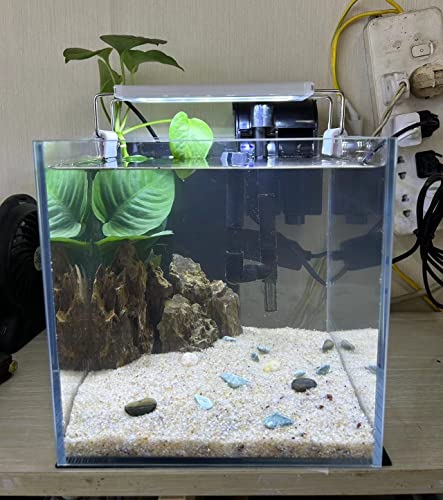 AWXZOM Small Nano Tall Rimless Tank, Glass Fish Tank, Betta Tank (2 Gallon 7.8x7.8x7.8inch/20x20x20cm) - size: 2 Gallon 7.8x7.8x7.8inch/20x20x20cm