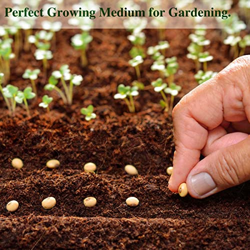 Organic Coco Coir Brick, Premium Coconut Coir for Plants, 1 Pack | 100% Coconut Fiber, Low EC & pH Balance Seed Starter Potting Soil for Plants, Herbs Houseplants Bonsai Vegetables Flowers