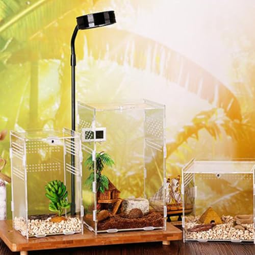 NUOBESTY Magnetic Modular Reptile Breeding Box 12x12x20cm High Transparency Pet Spider and Reptile Storage Holder Terrarium Suitable for Breeders and Transport