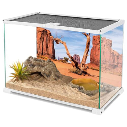 AWERT 48x24 inches Reptile Habitat Background Sky Oasis Mountain Cactus Sun and Desert Terrarium Background Polyester Background - size: 48x24in/120x60cm