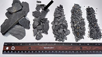 Natural Slate Stone -1/2 to 1 inch. Perfect Size for Miniature or Fairy Gardens, Aquariums, Reptiles, Terrariums, Model Railroads, Dioramas & Wargaming (2lbs Grey) - style: 2lbs grey