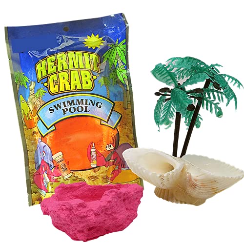 Needzo DIY Terrarium Hermit Crab Habitat Kit with Palm Tree Feeder and Swimming Pool, Bulk Reptile Starter Pack, 2 Items