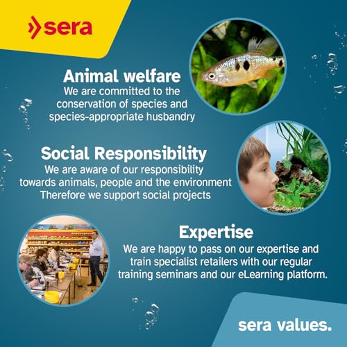 Sera Arowana Pellets 12.3 oz 350g | Arowana Fish Food for Carnivorous Fish | Floating Pellets with High Aquatic Protein | Tropical Food | Aquarium Food for Carnivore Fish