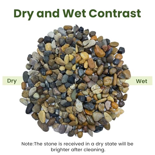 SIDONG 20LB Natural Aquarium Gravel, Small River Rocks for Fish Tank, Garden & Vase Decor - 2/5 Inch Pea Gravel, 8-12mm Polished Stones for Landscaping, Potted Plants, Terrarium - color: 20lb, size: 8-12mm