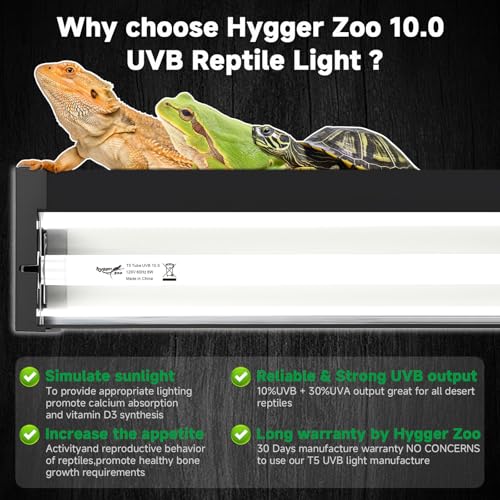 T5 UVB Reptile Light Fixture Upgrade Square HO UVB Bulb Lighting Combo Kit 10.0 UVB Light for Reptiles Terrarium Fluorescent 8W Reptile Light Bar UVA UVB Desert Lamp for Bearded Dragon Turtle Tank - size: 8W 12IN