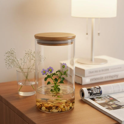 Persian Violet (Exacum Affine) - Live Flower Terrarium in Self Sustaining Glass Jar, Maintenance Free, Great Unique Gift and Home Decor, 100% Growth Guarantee