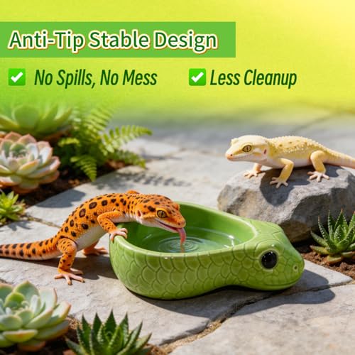 Reptile Water Dish, Ceramic Snake Water Bowl for Snake, Leopard Gecko, Bearded Dragon and Lizard, Reptile Bathing Pool Food Feeding Dish, Terrarium Tank Accessories (Cyan) - color: Cyan
