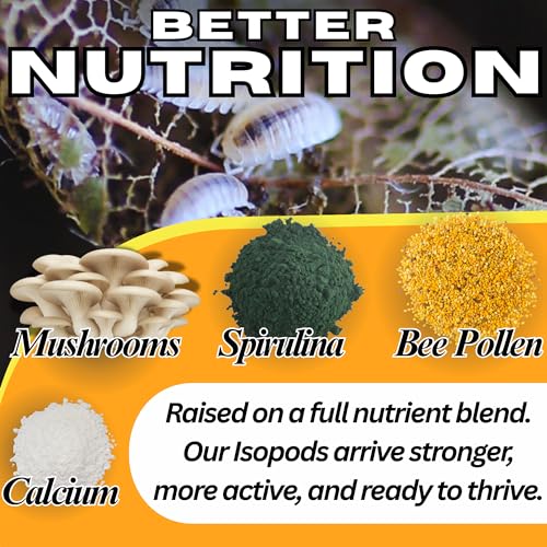 Dwarf White Isopods (Qty-25), Bioactive Clean Up Crew Frog Reptile Amphibian Food Bundle - by TC INSECTS