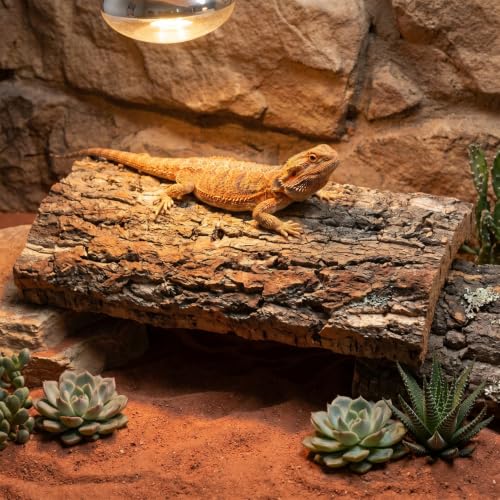 Alipis Cork Bark: Terrarium Cork Background - Natural Tree Bark Flats Reptile Habitat Decor Climbing Platform for Gecko, Snake, and Aquarium Fish Tank Background
