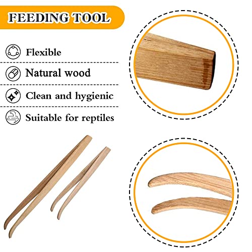 Reptile Feeder Tongs, Bamboo Tweezers for Lizard Gecko | Two-size bamboo tong set keeps hands safely away when feeding lizards, geckos, turtles, iguanas & bearded dragons