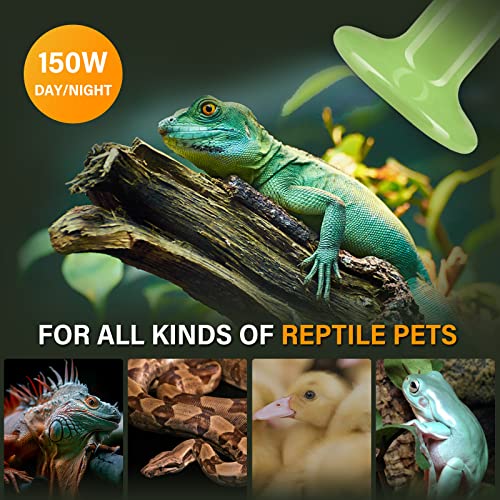 Simple Deluxe 150W 2-Pack Ceramic Heat Emitter Reptile Heat Bulb No Light, LCD Digital Aquarium Thermometer, for Reptile Amphibian, 2 Pack, Green - color: Green, size: 2 Pack