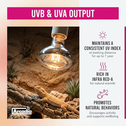 Arcadia D3 EVO UVB Basking Lamp 100W – Mercury Vapor Reptile Heat Lamp Bulbs for Bearded Dragons, Tortoises, Snakes and Turtle Tanks, UVA UVB Infrared Long Lasting Easy to Use Heat Bulb for Reptiles