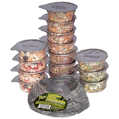 Healthy Herp Tortoise Food Instant Meal for Reptiles - Nutritious Turtle Food, Tortoise Habitat Accessories - Made in USA - for Box Turtles, Lizards, Tortoises - Variety Pack (14 Cups & 1 Dish) - size: 0.4 Ounce (Pack of 7), style: 14-Pack Cups