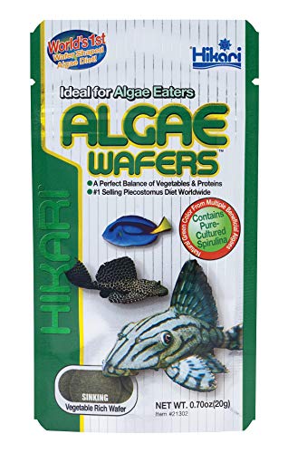 Hikari Algae Wafers for Pets, 0.70-Ounce - size: 0.7 Ounce (Pack of 1)