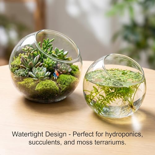 3 Pack Glass Terrarium Containers, Slanted Bowl Air Plant Holder Set | Small Clear Round Succulent Planter Globe for Micro Landscape, Candle Decor