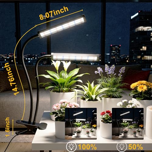 Grow Light 100W 6000K, Super Bright White Desktop Clip Plant Lamp | Desk Lamp for Pot Seedlings Succulents Seeds Indoor Plants Growing,Bendable Gooseneck & Timer 4 8 12 H - size: 100Watts