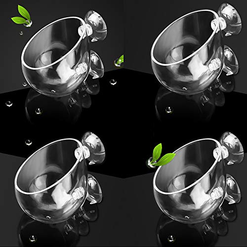 capetsma 4X Crystal Glass Aquarium Plant Pot, Aquarium Aquatic Planter, Red Shrimp Live Plants Fish Tank Glass Holder with 4X Suction Cups for Aquarium Fish Tank Decorations … (4 Pack)… - size: 4 pack