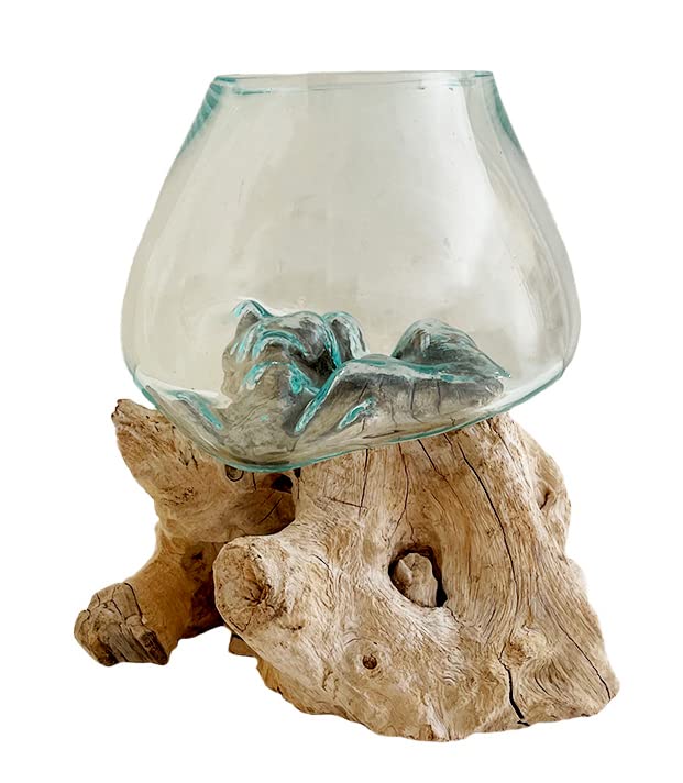 OMA Molten Glass on Driftwood – Hand Blown Vase, Terrarium, or Planter Centerpiece for Coastal & Boho Home Décor (7" – 9" High) - size: 7" - 9" High