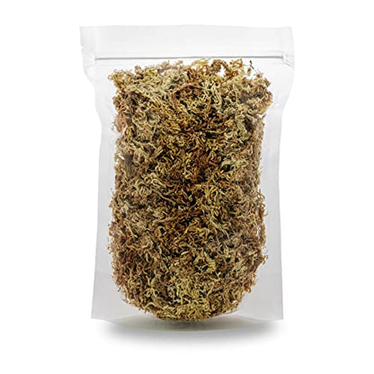 Premium New Zealand Sphagnum Moss by Gardenera - Organic Hand Mixed Long Fibered Sphagnum Moss Orchid - 1 Quart
