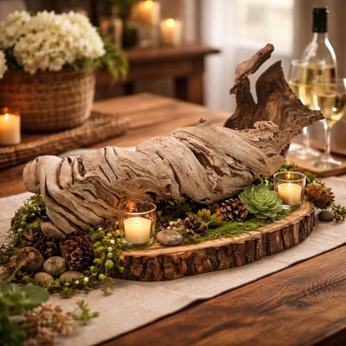 Koyal Wholesale 24" Hollow Grapewood Branch Decor 1Pcs Grapewood Centerpiece Vase Air Plants Sand Blasted Grapevine Wood Untreated Terrarium Wood Driftwood Decor - size: 24 Inches