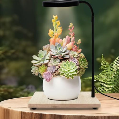 Rotating LED Aquariums Light with Wood Stand for Fishtanks and Potted Plant Terrariums Landscaping Lighting Supply - L 30CM - size: L 30CM