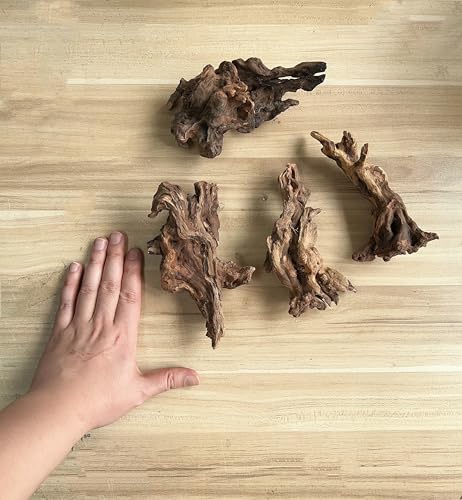 YZHZOM Small Natural Driftwood for Aquarium Styling Carefully Selected Natural Aquarium Decor Driftwood for Reptile Tank Reptile Tank Wood Decor (Driftwood 6-8inch 4pcs) - style: Driftwood 6-7inch 4pcs
