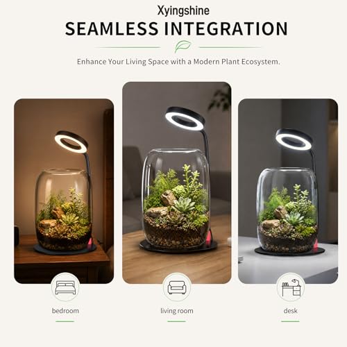 Desk Grow Light with Glass Terrarium, 5X Aperture | Full-spectrum LED, 3 modes, 10 brightness levels, USB power, 28-43 cm pole, 90° rotating head, for moss and succulents - size: 5X magnification