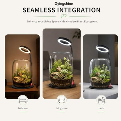Desk Grow Light with Glass Terrarium, 3X Aperture | Full-spectrum LED, 3 modes, 10 brightness levels, USB power, 28-43 cm pole, 90° rotating head, for moss and succulents - size: 3X magnification