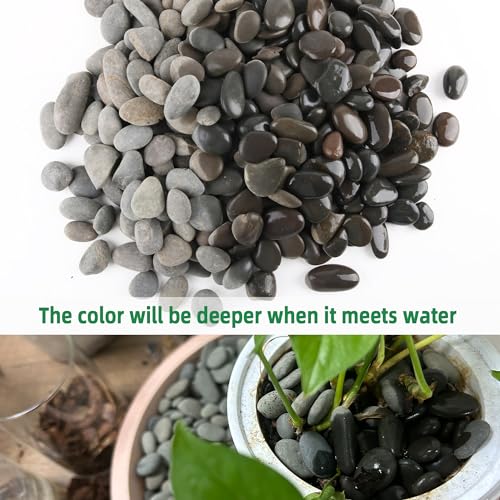 2.4LB River Rocks Mexican Beach Pebbles for Garden Landscape Stone Paving Stone Grey (1Inch) - size: 2.4LB, style: Medium