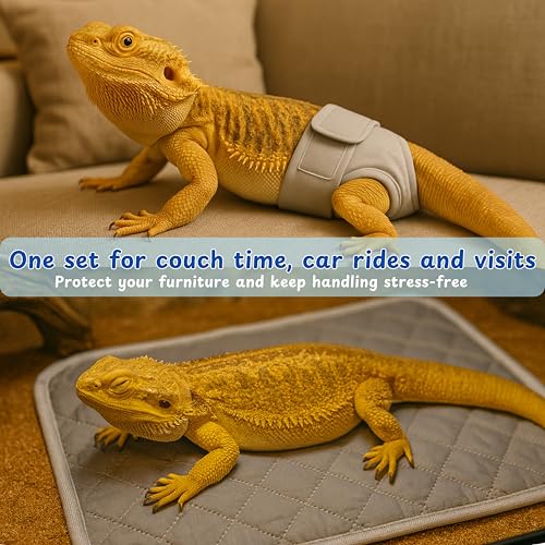 Bearded Dragon Diapers Bedding Mat Accessories, Adjustable Diaper, 2pcs Cleaning Mat for Picnic Travel, Bearded Dragon Diapers Accessories Reusable Pad, Reptile Carrier Essentials (2 Reusable Pad) - color: 2 Reusable Pad