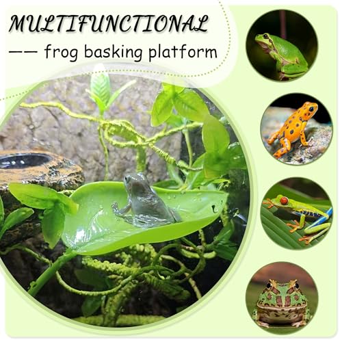 Tree Frog Terrarium Accessories, 3PCS Turtle Basking Platform | Aquarium decor with 3 suction cups, multifunctional reptile tank accessories for leopard gecko, snake, gecko, bearded dragon - color: Mixed Color
