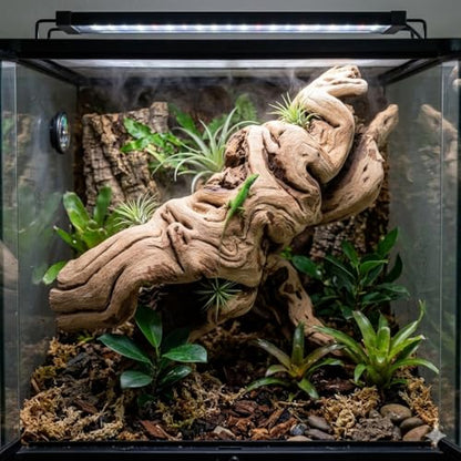Koyal Wholesale 18" Hollow Grapevine Wood Branches for Decor, Untreated Natural Dried Grapewood Branches, Large Rustic Wood for Centerpieces, Terrariums, Reptile Habitats, Crafts - size: 18 Inches