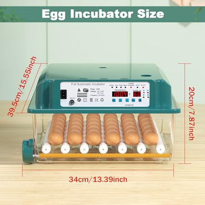 36 Eggs Incubators for Hatching Eggs,Egg Incubator with 4 Automatic Incubate Mode,Chicken Incubator with Automatic Egg Turning Humidity Display,Quail Egg Incubator with Egg Candle - size: 36 Egg