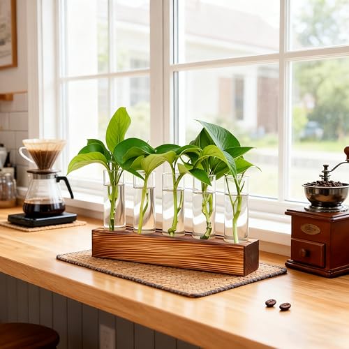 Plant Propagation Station, Plant Terrarium with Wooden Stand | Plants Pots for Hydroponics, Small Birthday Gardening Gifts for Women Mom Plants Lovers Unique - 5 Glass Test Tubes Vases - size: 5 Test Tube