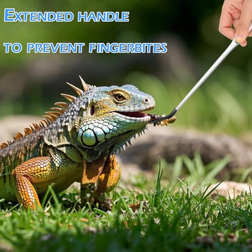4-Piece Stainless Steel Reptile Feeding Tongs & Spoons Set – Curved/Straight Tweezers,Spoons, Rubber Tips for Bearded Dragons,Aquarium/Terrarium Safe Feeding Tools
