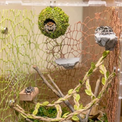 Jumping Spider Enclosure Accessories Kit - Magnetic Moss Ball Hideout, 2 Rock Ledges, Feeding Bowl, Climbing Mesh Nets & Rope Ladder - Natural Forest Habitat Decor for Regal (Moss Cave) - size: Moss Cave without Rope