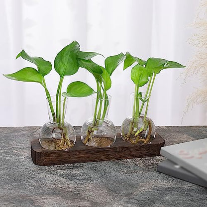 YIBOT Plant Propagation Station, Desktop Glass 3 Bulb Vase Brown Wood Tray | Planter Hoder Terrarium,Hydroponic Flower Cuttings Jars, No Assembly, Easy Water Refill, Home Office Decor, Lover Gift Idea - size: 3 Vase-T