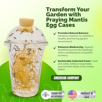 USMANTIS Praying Mantis Egg Case Kit, 2 Pack with Habitat Cup | Includes 2 T Sinensis ootheca cases with a clear hatching habitat, ideal STEM learning project producing up to 400 nymphs. - size: Pack of 2