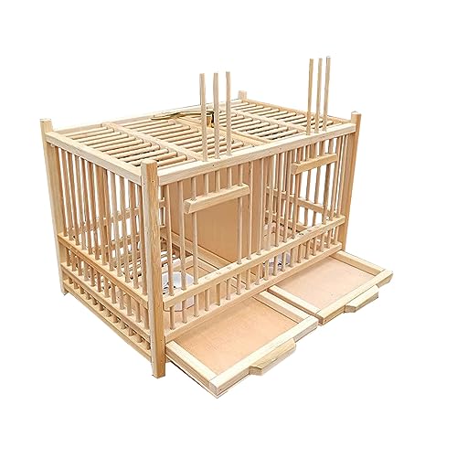 Small Reptile Animals Terrarium. Insect Enclosure. Crickets, Snails, Spiders, Cockroach ，Tarantula ，Caterpillar，Cages. Luxury Houses, Double Room. Bamboo (A)