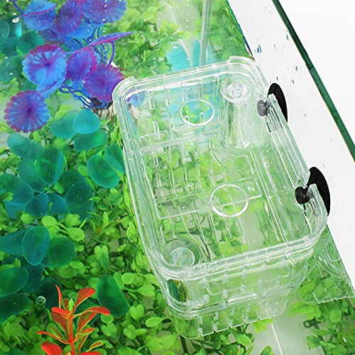 Still Awake Aquarium Fish Breeder Box Plastic Fish Isolation Breeding Box Hatching Incubator Box for Baby Fish Shrimp Clownfish Guppy （L） - size: L