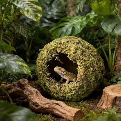 Reptile Hideout Cave - Natural Coconut Moss Terrarium Decor & Snake Hide - Leopard Gecko Hide - Reptile Tank Accessories & Habitat Hideouts for Bearded Dragon