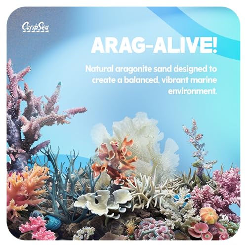 CaribSea Arag-Alive Special Grade Sand - 20 lbs - Natural Aragonite Substrate for Reef & Marine Tanks, Promotes Coral Growth & Biological Filtration - size: 20lb (Pack of 1)