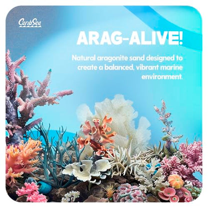 CaribSea Arag-Alive Special Grade Sand - 20 lbs - Natural Aragonite Substrate for Reef & Marine Tanks, Promotes Coral Growth & Biological Filtration - size: 20lb (Pack of 1)