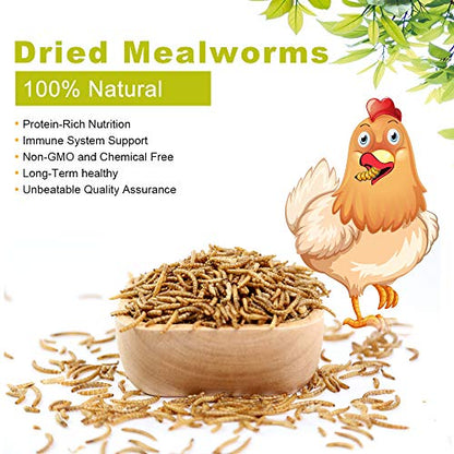 20lb Dried Mealworms for Chickens Duck High Protein Birds Treat | Hand Inspected Poultry Feed, Wild Birds and Chicken Treats, Laying Hens & Bluebirds Food, Worms Fed a Clean Natural Diet - size: 20 Pound (Pack of 1), style: Mealworms